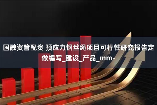 国融资管配资 预应力钢丝绳项目可行性研究报告定做编写_建设_产品_mm-