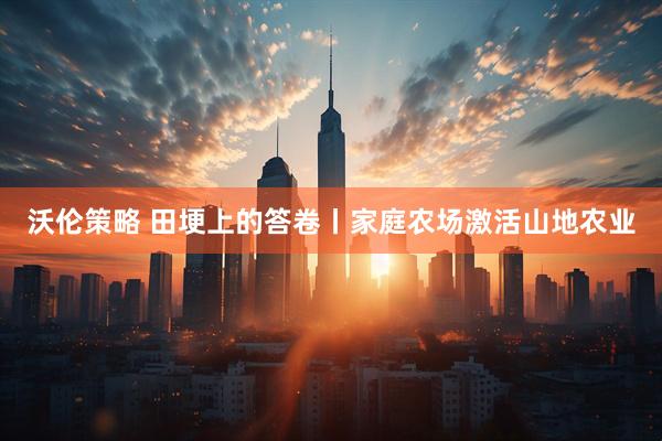 沃伦策略 田埂上的答卷丨家庭农场激活山地农业