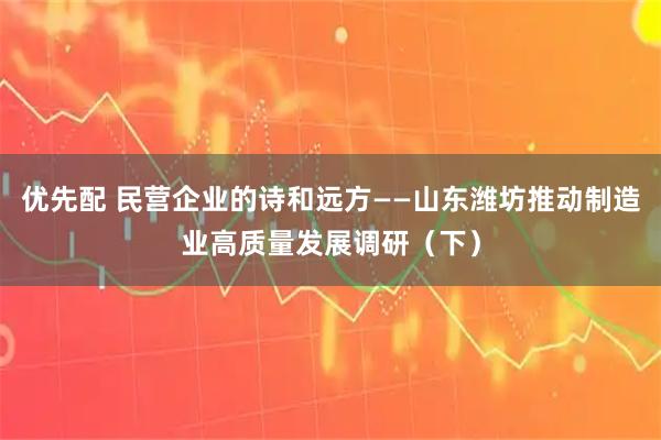 优先配 民营企业的诗和远方——山东潍坊推动制造业高质量发展调研（下）