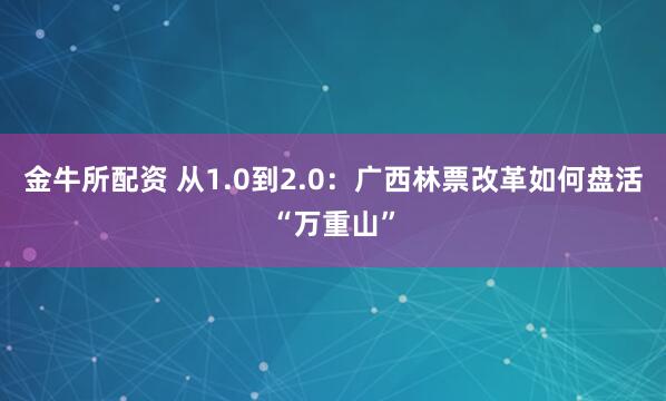 金牛所配资 从1.0到2.0：广西林票改革如何盘活“万重山”