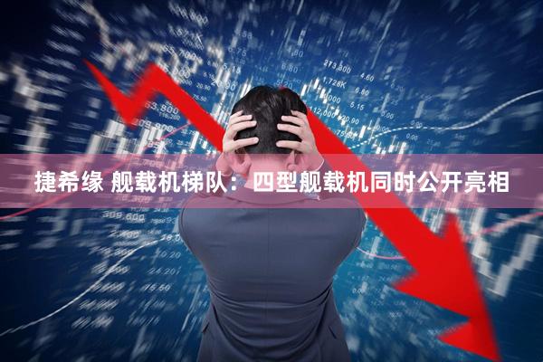 捷希缘 舰载机梯队：四型舰载机同时公开亮相