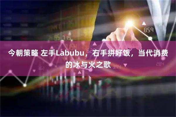 今朝策略 左手Labubu，右手拼好饭，当代消费的冰与火之歌